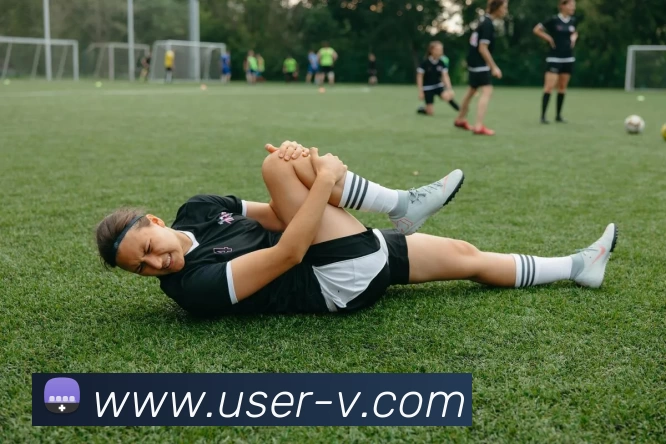 多媒体互动体验